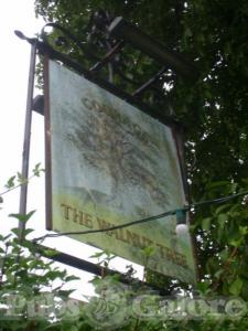Picture of The Walnut Tree
