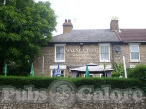 Picture of The Walnut Tree