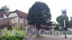Picture of The Yew Tree Inn