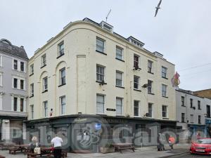 Picture of Barnacles