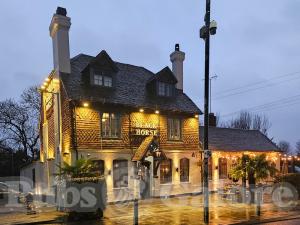 Picture of Black Horse