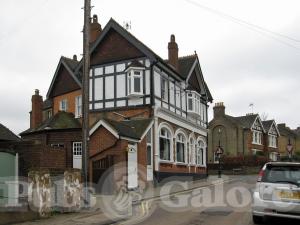 Picture of The Roebuck