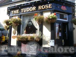 Picture of The Tudor Rose