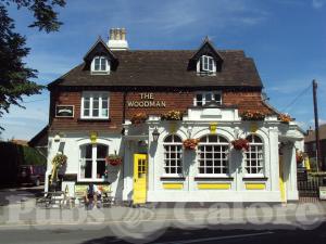 Picture of The Woodman
