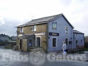 Picture of Royal Oak