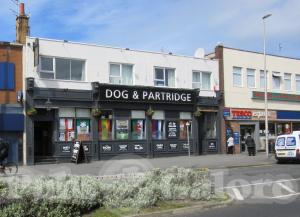 Picture of Dog & Partridge