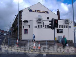 Picture of The Pineapple