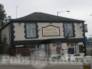Picture of The Dusty Miller