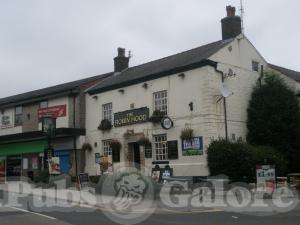 Picture of Robin Hood