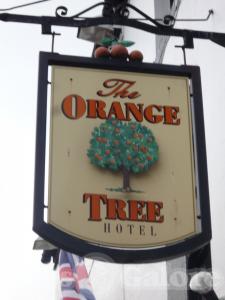 Picture of The Orange Tree