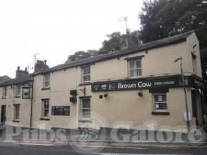Picture of Brown Cow