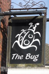 Picture of The Bug