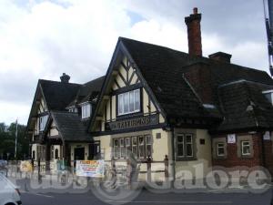 Picture of The Greyhound