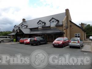 Picture of Thatch & Thistle