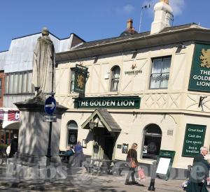 Picture of Golden Lion
