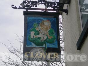 Picture of The Clover