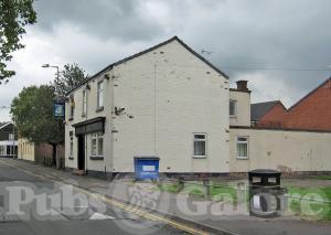 Picture of The Clover