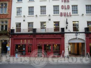 Picture of The Old Bull