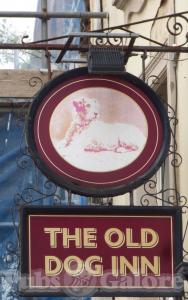 The Old Dog Inn