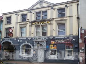 Picture of The Old Dog Inn