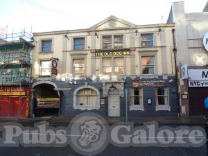 Picture of The Old Dog Inn