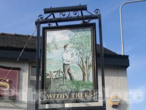 Picture of The Withy Trees