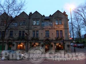 Picture of The Flying Horse