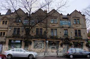 Picture of The Flying Horse