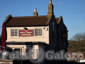 Picture of The White Horse