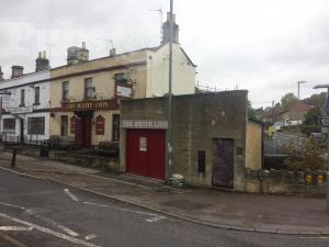 Picture of The White Lion