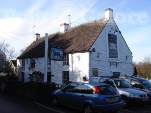 Picture of Black Horse