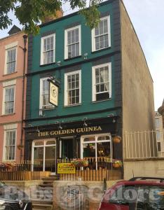 Picture of The Golden Guinea