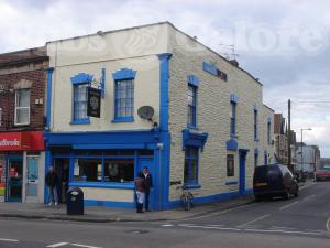 Picture of Golden Lion
