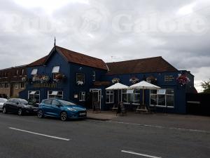 Picture of The Gloucester Old Spot