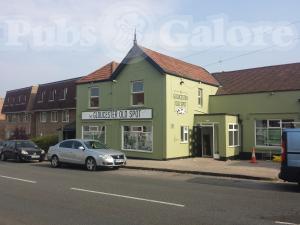 Picture of The Gloucester Old Spot