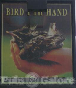 Picture of Bird I Th Hand