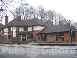 Picture of Alexandra Arms