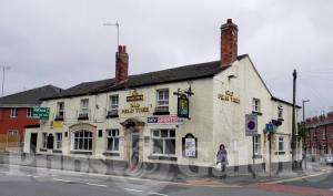 Picture of The Old Pear Tree