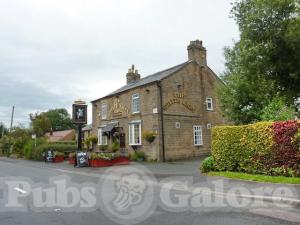 Picture of The White Lion