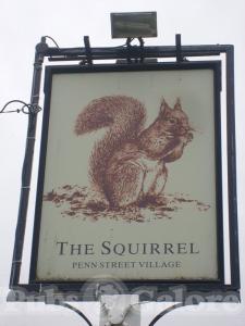 Picture of The Squirrel