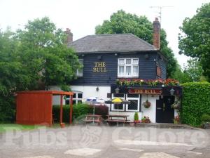 Picture of The Bull