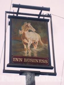 Picture of The White Horse