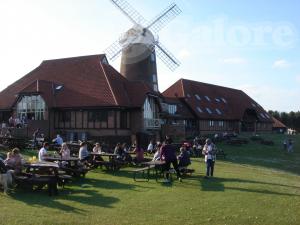 Picture of The Caldecott