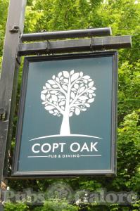 Picture of The Copt Oak