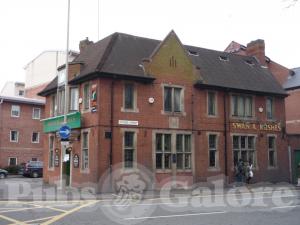 Picture of Swan & Rushes