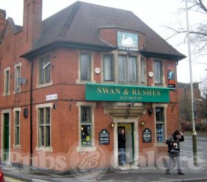 Picture of Swan & Rushes