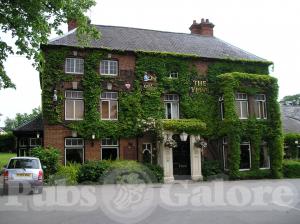 Picture of The Yews