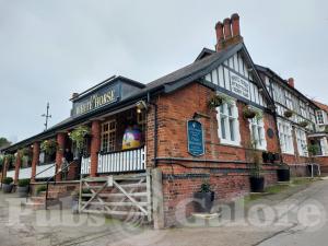 Picture of The White Horse