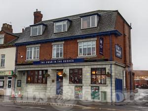 Picture of The Swan in the Rushes