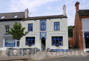 Picture of White Hart